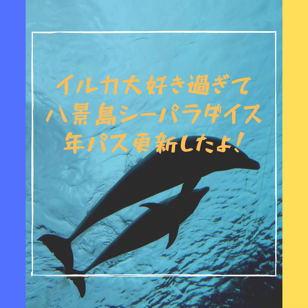 イルカが大好き 八景島シーパラダイスに 子連れで頻繁に行く話 はぴまる放題